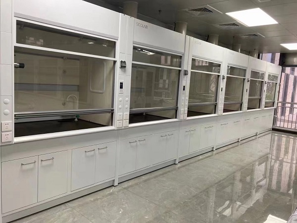 耐酸pp通風(fēng)柜生產(chǎn)廠家